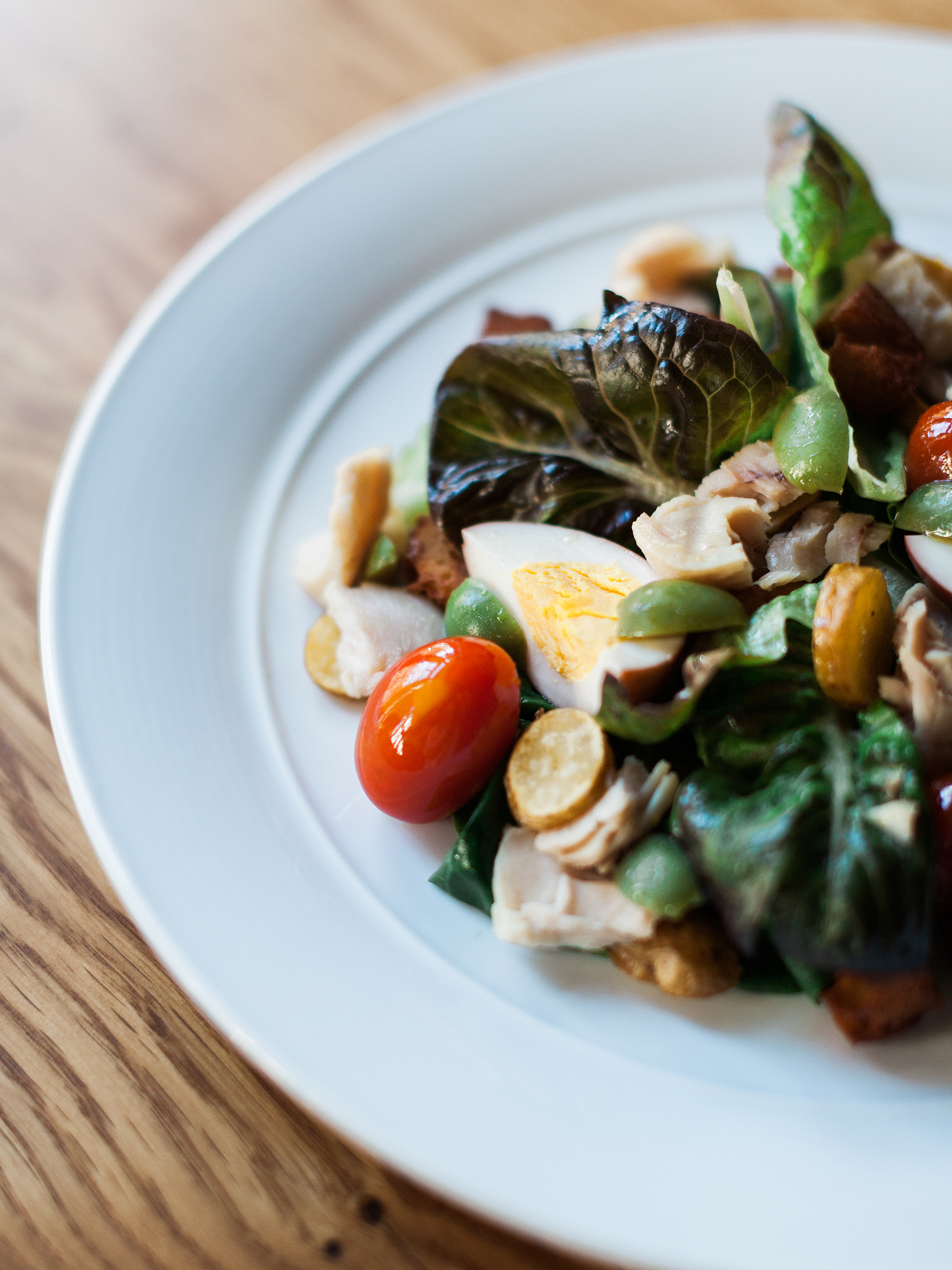 The Family Cookbook recipes