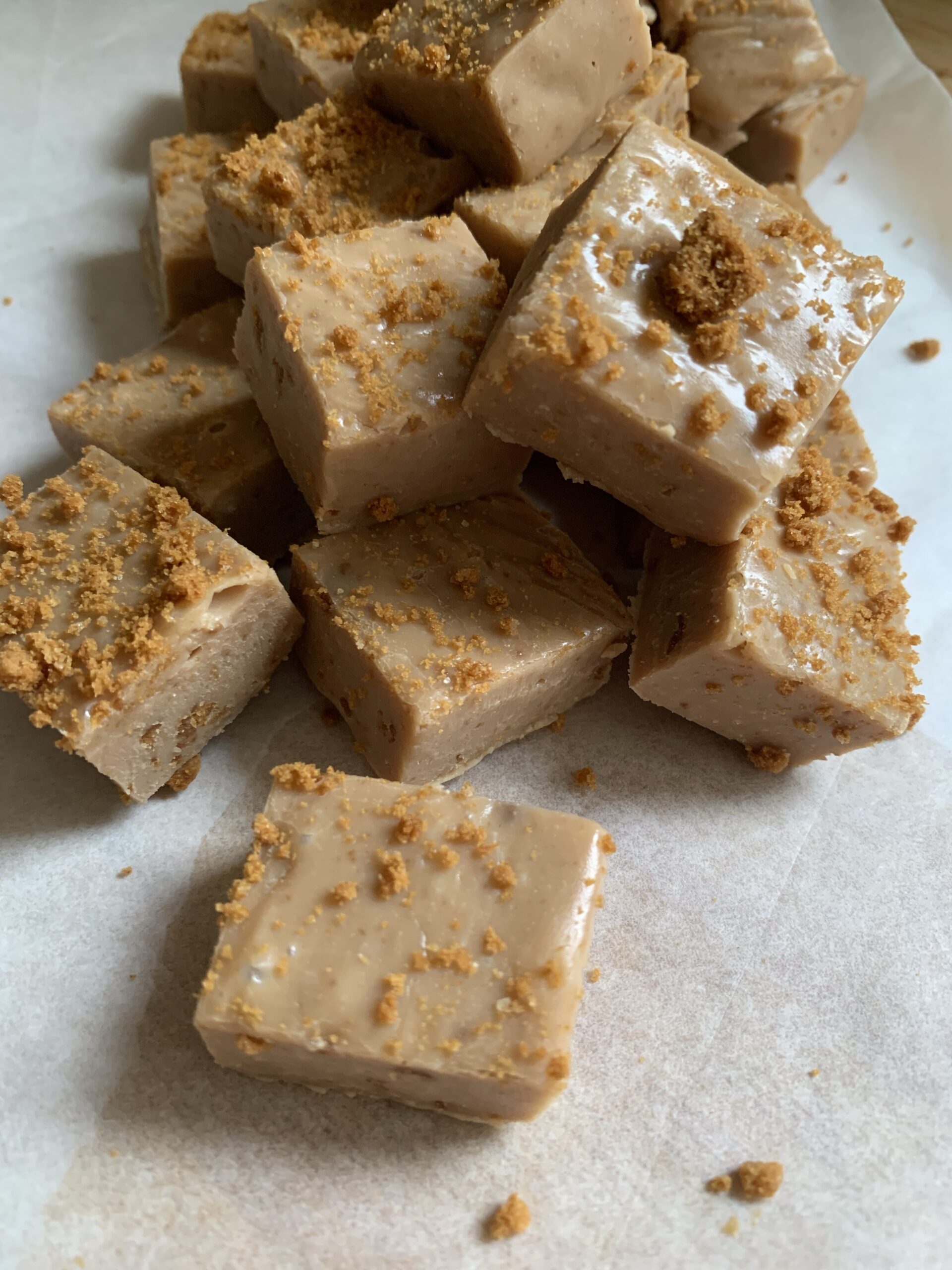 Easy to make Slow Cooker Biscoff Fudge recipe The Family Cookbook