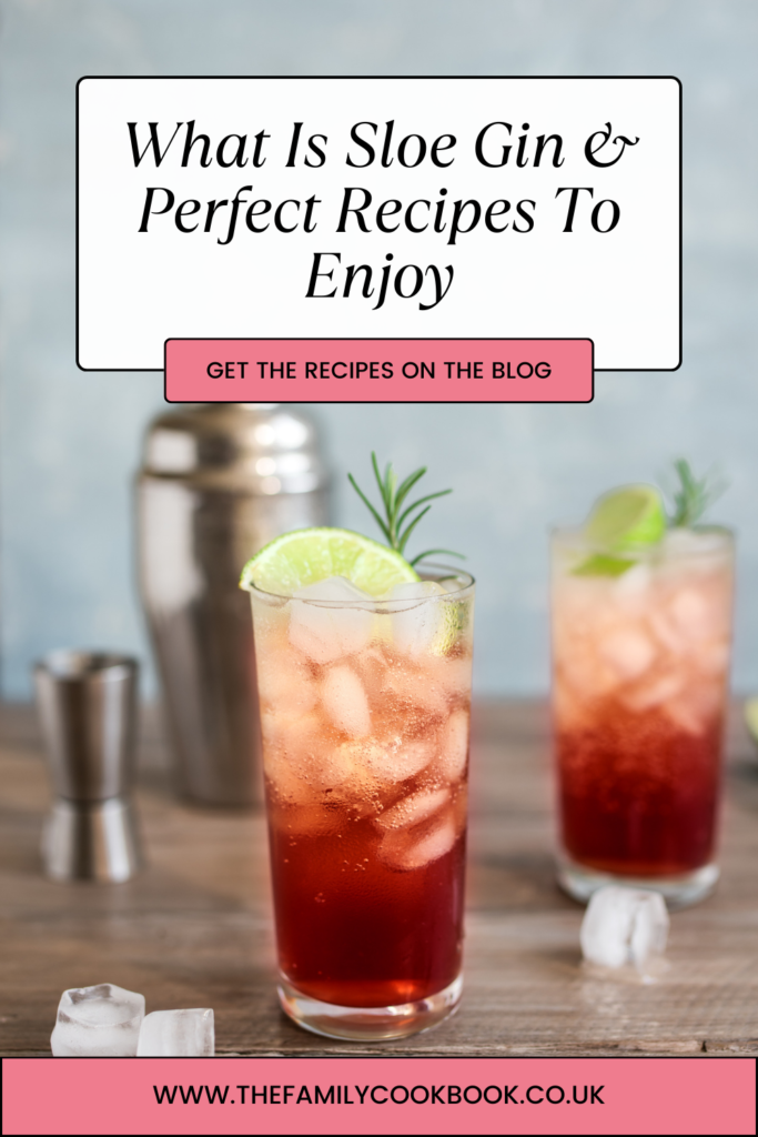 What Is Sloe Gin & Perfect Recipes To Enjoy