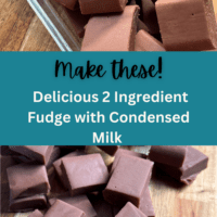 Make Delicious 2 Ingredient Fudge with Condensed Milk Today