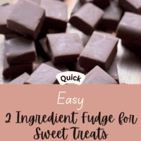 Quick and Easy 2 Ingredient Fudge for Sweet Treats